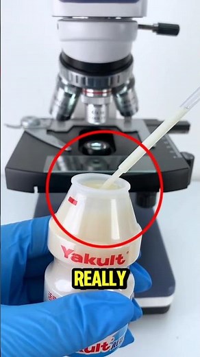 What Yakult Really Looks Like Under a Microscope Will Shock You! 🔬😱