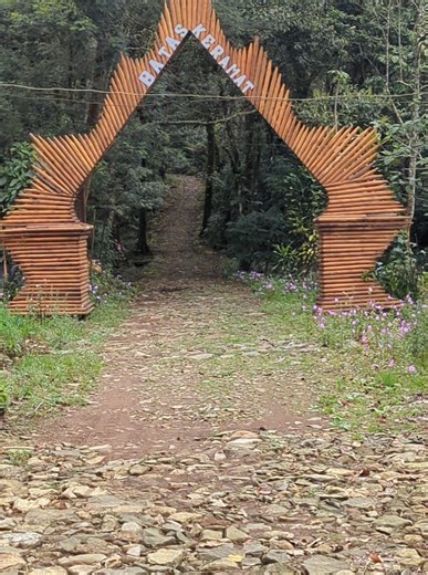 telaga Mangunan Petungkriyono episode 1#4upageシ #exolorepage🍀 #creatorsearchinsights #foryoupage❤️❤️ #petungkriyonopekalongan