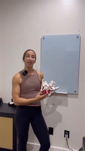 Pain at your pubic bone? What’s REALLY going on? It’s not “just relaxin”. You don’t have to just wait out the rest of pregnancy to feel better-we CAN work on it in pregnancy! The adductors are a powerful, often under loaded muscle group. When they get overworked and over loaded, they can get inflamed and cranky. That inflammation leads to pain How do we solve that issue? Build up capacity of the adductors! One of our favorite options is Copenhagen planks! We can scale these up or down, depending