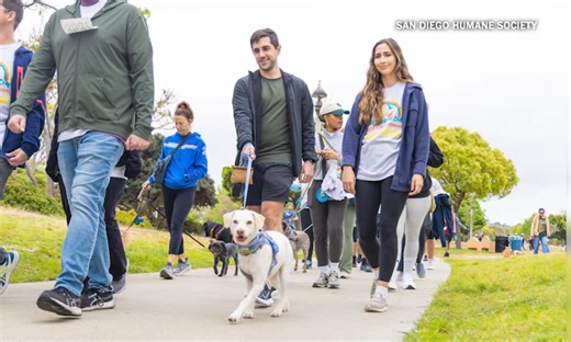 San Diego Humane Society hosting walk for animals in need
