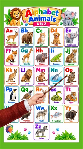 A for antelope, b for bear || Alphabet animals song for kids || Staylittle channel