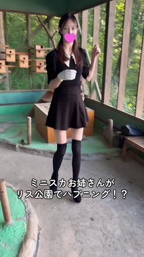 ミニスカお姉さんがリス公園でハプニング！？ #ミニスカ #ミニスカコーデ #ミニスカート #ハプニング #シマリス