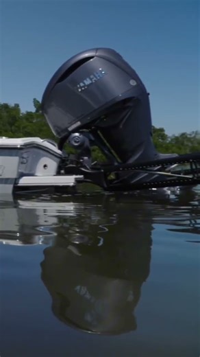 Power-Pole: Locked In on the Bite 🎣⚓