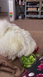 23K views · 2.7K reactions | Good morning!! Happy Sunday, June 25th!!...