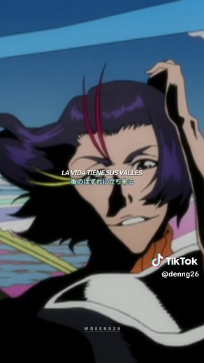 BLEACH OP09: Velonica - Opening Theme Explained