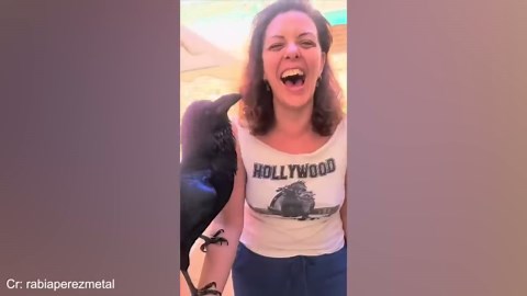 Adorable Animals Share Touching Moments with Humans