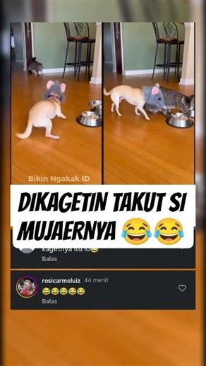 Ngakak banget dijailin 😂 #lucu #memengakakkocak #bikij #memengakakkocak #bikinngakak