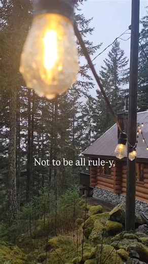 Explore BC's Serene Log Cabin Retreat in Nature