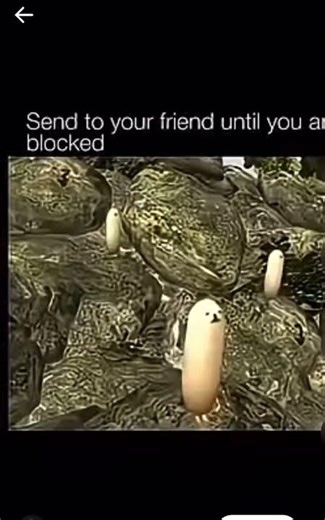 EGGDOG 🤣😂😆 #shorts