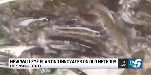 Walleye added to Dickinson County lakes