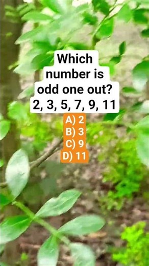 Which number is odd one out? 2, 3, 5, 7, 9, 11