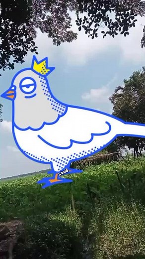 Animated White Pigeon Blinking in Lush Outdoors