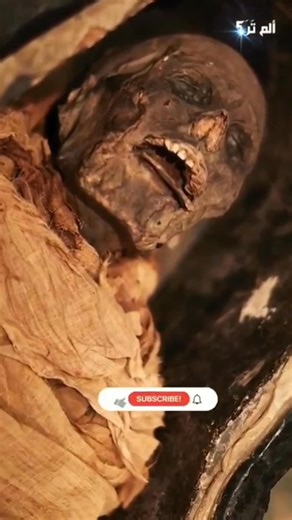 3000 YILLIK MUMYA NESYAMUN'UN SESİ YENİDEN HAYATA DÖNDÜRÜLDÜ... İngiltere'de bulunan York Üniversitesi öğretim görevlileri bilgisayarlı tomografi cihazı (CT tarayıcı), 3 boyutlu yazıcı ve ses birleştirici (synthesizer) kullanarak ilginç bir deney gerçekleştirdi. Her bir bilim insanı elde ettiği kendi verilerini kullanarak, bu bilgileri yapay gırtlak sesi oluşturabilen Vocal Tract Organ adlı bir aygıta iletti. Bilim insanları farklı verilerden yola çıktığı için, her bir deney sonucu elde edilen s