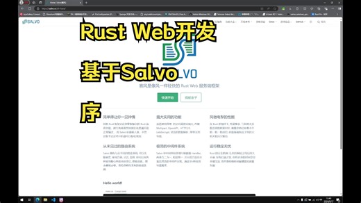 Rust web开发入门(序)