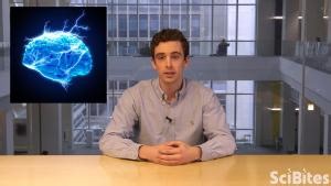 A Glimpse Into Neuromuscular Disorders | NIH Intramural Research Program