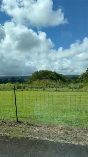 Margo Smith singing life on Reels | Facebook