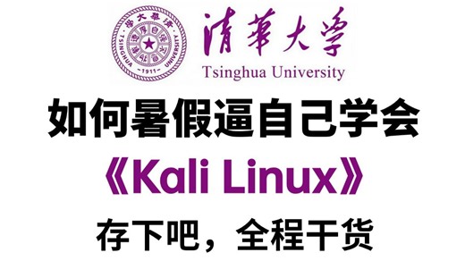 【全500集】清华大佬耗时上百小时整理的Kali渗透教程，暑假从零基础入门到精通Kali渗透，学完即可就业！看完这一套Kali Linux教程就够了！