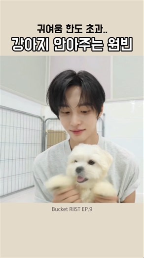 안절부절 못함ㅋㅋ