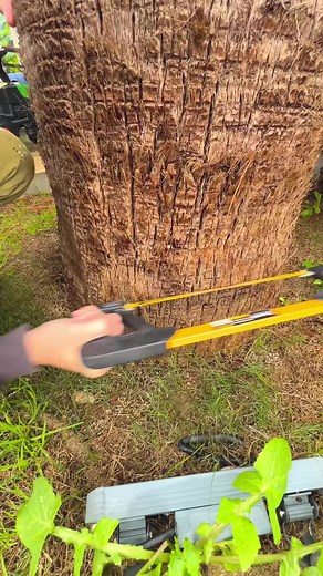 1M views · 4.2K reactions | KUNG FU vs TREE 例 He BROKE his LEG  #shorts #khamitovy #martaandrustam | Marta and Rustam | Facebook