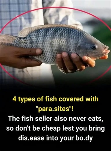 4 types of fish infested with para.sites! Even fish sellers never eat them, so don’t be tempted by cheap prices | LikeNow