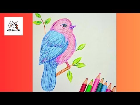 A beautiful pencil colour bird🐦🐦 drawing step by step #drawing #art