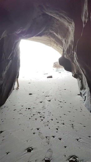 種子島 「千座の岩屋(ちくらのいわや)」鹿児島県(掘り起こし映像 2022年)
