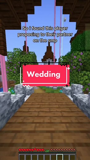 Virtual Wedding Proposal on KiwiSMP Minecraft Server