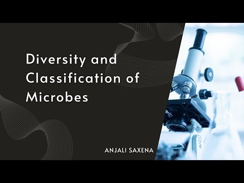 Classification of microorganisms | Microbiology | Types | Bscbiotech | 1st Year | Nursing | Hindi