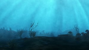 Diving through a reef - Free Stock Video