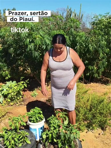 Na seca, o piauiense se reinventa e produz seu alimento