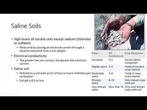 Soil Salinity