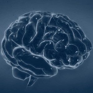 5K views · 77 reactions | Frontiers in Psychology is the world’s...