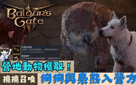 【博得之门3】小枭熊与挠挠获取方式介绍！营地永久动物伙伴入手！挠挠完整剧情及助战！