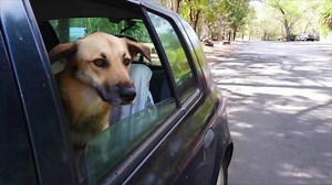 Why You Need To Plan a Trip to Dahlonega, Georgia, in 2022