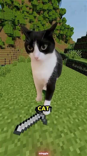 Saving Cats in Minecraft Zombies, Lava & Funny Cat Moments! #cat #cats #catvideos
