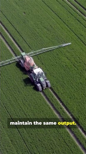 When Birds Disappear, Farming Gets Expensive