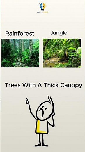 What's the Difference? 🧊 Glacier vs Iceberg | 🌴 Rainforest vs Jungle | 💧 Waterfall vs Spring