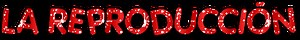 REPRODUCCIÓN BINARIA
