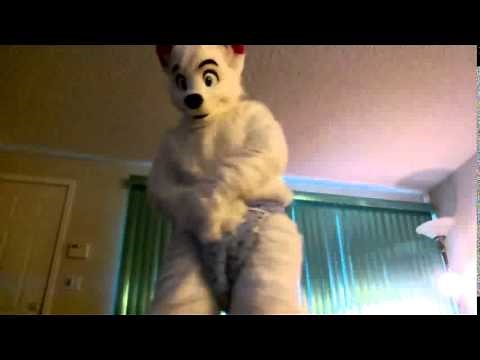 Another furry diapered with fursuit