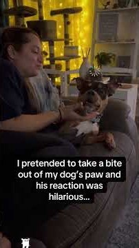 The Reality of Owning a Bulldog! 🤣🐶