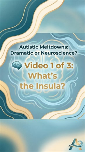 Adult Autism Assessment on Instagram: "PART 1: Why Autistic Meltdowns Aren’t Random Have you ever held everything together for so long… until your body finally said no? Autistic meltdowns aren’t sudden outbursts or emotional immaturity. They’re the end point of a meltdown pathway — a neurological process where stress, sensory input, masking, and pressure quietly build until regulation runs out. In this first video, we introduce the Meltdown Pathway model and the insula — a key brain region that 