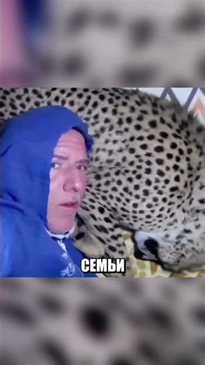 Мужчина обнаружил дикого опасного ГЕПАРДА 🐆🛏😱