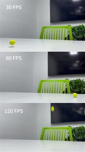 Frame rate comparison in daily recording