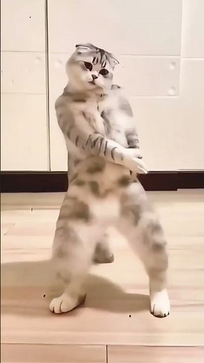 😹 Dancing Cat Meme | Epic Funny Dance Moves | Viral AI Cat Video 🐱🔥