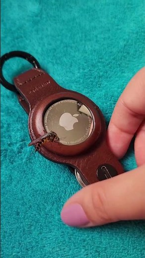 AirTag Users Are Switching to This Key Organizer 🔑