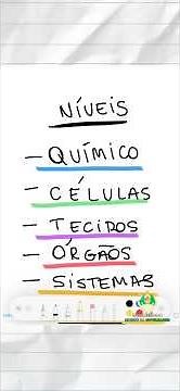 🤔 What is the human body made of? 🫀👩🏻‍🏫✅ Levels of constitution #biology #humananatomy