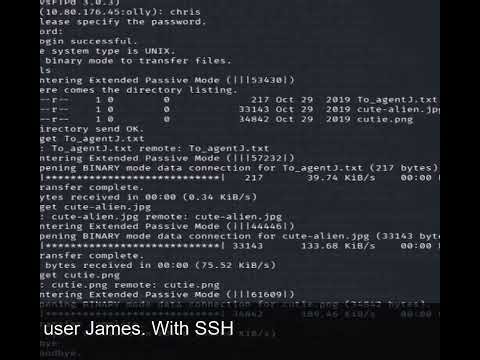 This One Header Led to Full System Compromise (TryHackMe Agent Sudo)