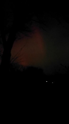 Sterling Stewart on Reels