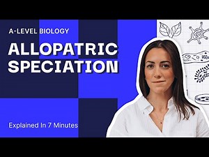 Allopatric Speciation Explained | A Level Biology