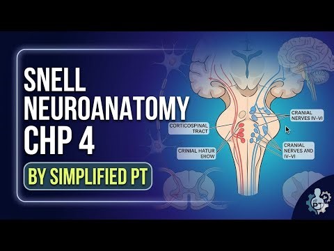 Snell Neuroanatomy Chapter 4 Part 2|KMU Based Syllables|Ascending Tracts 
